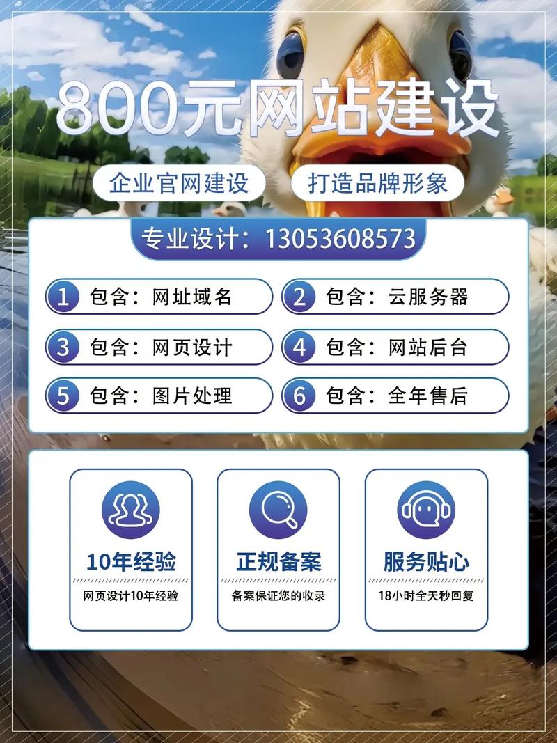 企业网站建设：模板建站与私人定制建站的对比分析及选择指南