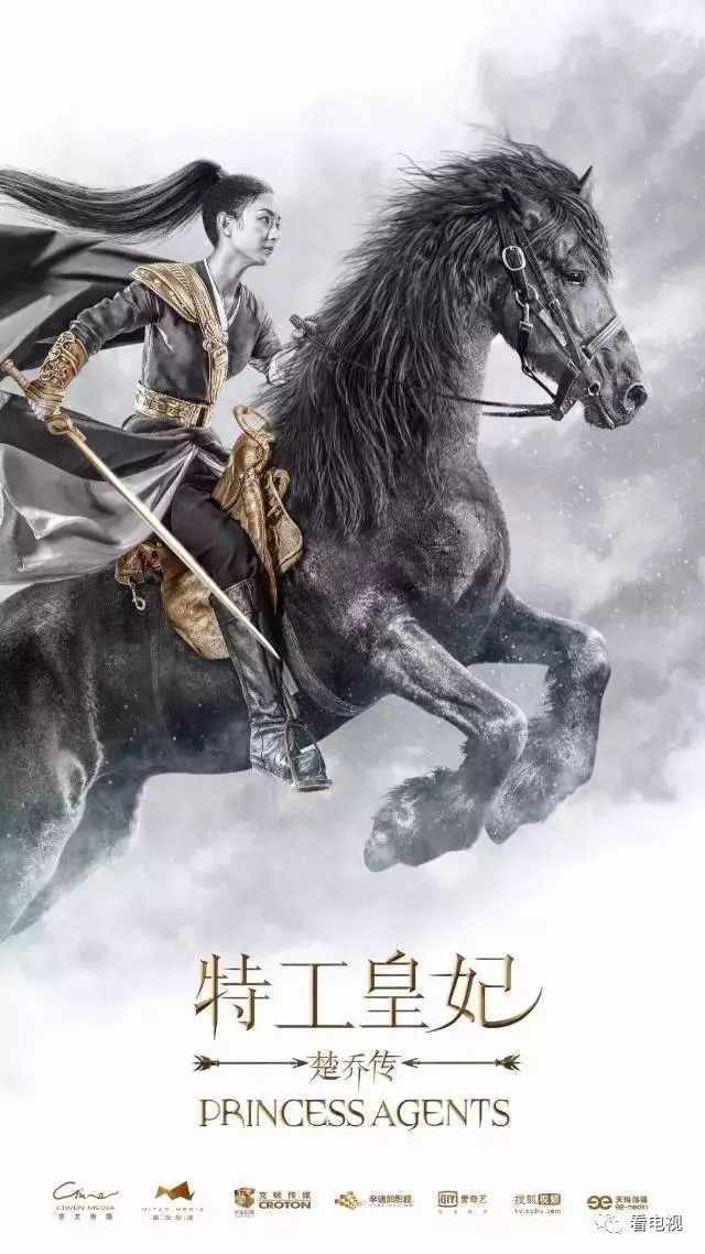 网站视频营销